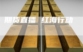 期货直播 红海行动