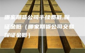 哪家期货公司手续费低,保证金低（哪家期货公司交易保证金低）