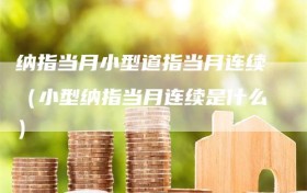 纳指当月小型道指当月连续（小型纳指当月连续是什么）