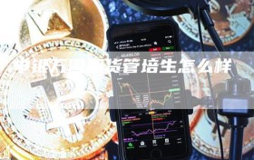 申银万国期货管培生怎么样