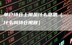 单户持仓上限是什么意思（什么叫持仓限额）