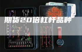 期货20倍杠杆品种