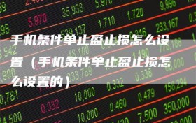 手机条件单止盈止损怎么设置（手机条件单止盈止损怎么设置的）