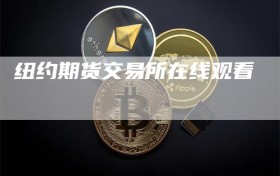 纽约期货交易所在线观看