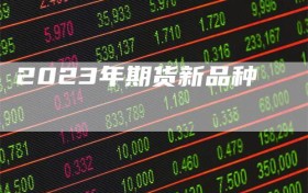 2023年期货新品种