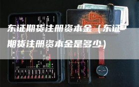 东证期货注册资本金（东证期货注册资本金是多少）