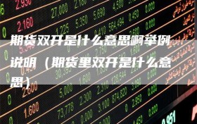 期货双开是什么意思啊举例说明（期货里双开是什么意思）