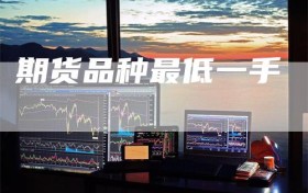 期货品种最低一手