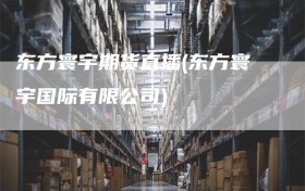 东方寰宇期货直播(东方寰宇国际有限公司)