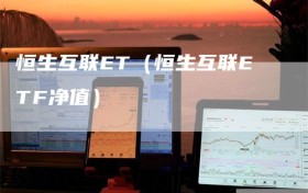 恒生互联ET（恒生互联ETF净值）