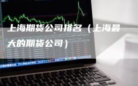 上海期货公司排名（上海最大的期货公司）