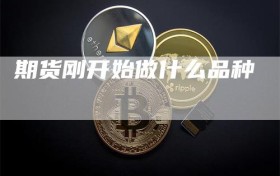 期货刚开始做什么品种