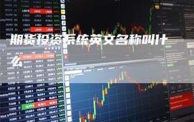 期货投资系统英文名称叫什么