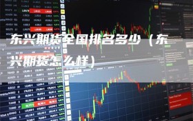 东兴期货全国排名多少（东兴期货怎么样）