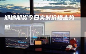 郑棉期货今日实时价格走势图
