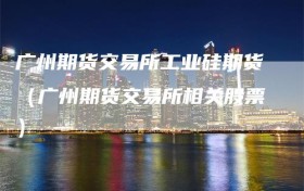 广州期货交易所工业硅期货（广州期货交易所相关股票）