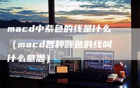 macd中紫色的线是什么（macd各种颜色的线叫什么意思）