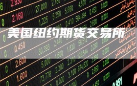 美国纽约期货交易所