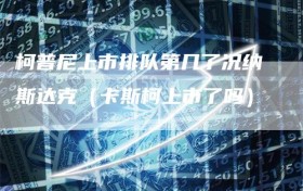 柯普尼上市排队第几了况纳斯达克（卡斯柯上市了吗）