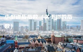 小型道指指数（关于道的指数）