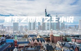 重生之期货之王小说