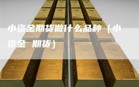 小资金期货做什么品种（小资金 期货）