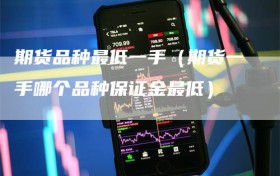 期货品种最低一手（期货一手哪个品种保证金最低）