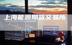 上海能源期货交易所
