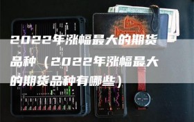 2022年涨幅最大的期货品种（2022年涨幅最大的期货品种有哪些）