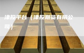 津投平台（津投期货有限公司）