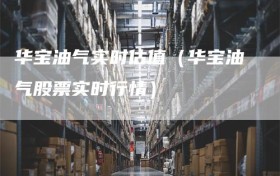 华宝油气实时估值（华宝油气股票实时行情）