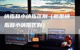 纳指和小纳指区别（微型纳指和小纳指区别）