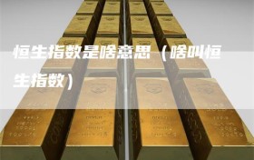 恒生指数是啥意思（啥叫恒生指数）