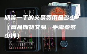 期货一手的交易费用是多少（商品期货交易一手需要多少钱）