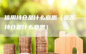 信用持仓是什么意思（是否持仓是什么意思）