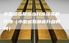 小型道指期指当月连续实时行情（小型道指期货开盘时间）