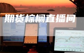 期货棕榈直播间