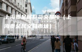 上海贵金属期货交易所（上海贵金属交易市场）
