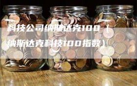 科技公司纳斯达克100（纳斯达克科技100指数）