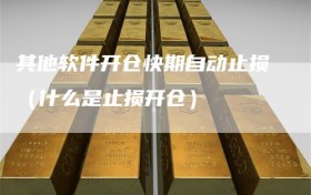 其他软件开仓快期自动止损（什么是止损开仓）