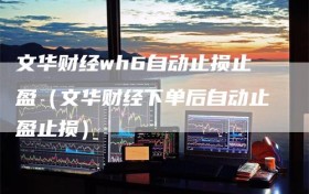文华财经wh6自动止损止盈（文华财经下单后自动止盈止损）