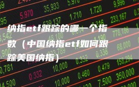 纳指etf跟踪的哪一个指数（中国纳指etf如何跟踪美国纳指）