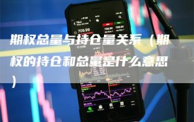 期权总量与持仓量关系（期权的持仓和总量是什么意思）