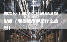 期货反手是什么意思啊举例说明（期货里反手是什么意思）