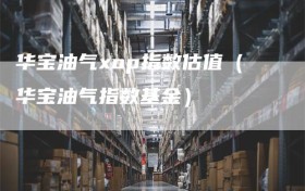 华宝油气xop指数估值（华宝油气指数基金）