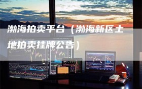渤海拍卖平台（渤海新区土地拍卖挂牌公告）