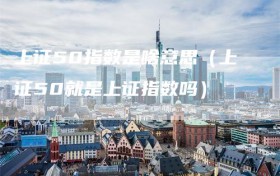 上证50指数是啥意思（上证50就是上证指数吗）