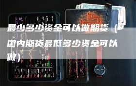 最少多少资金可以做期货（国内期货最低多少资金可以做）