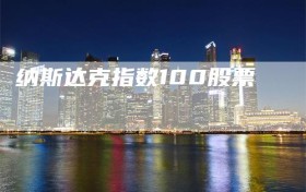 纳斯达克指数100股票