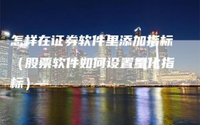 怎样在证券软件里添加指标（股票软件如何设置量化指标）